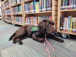Read with Norah @ Latham Library