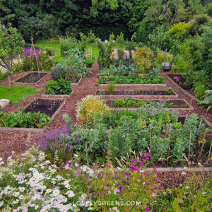 Gardening Workshop with Janet Taylor @ Peabody Library